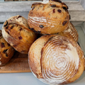 Orange Cranberry Sourdough | Bucks County Artisan Bread